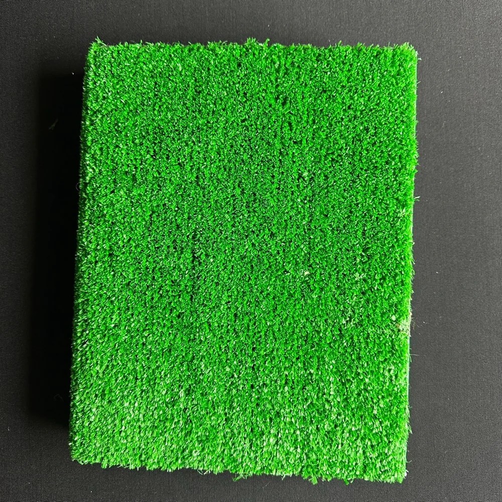 DK The Sports Book Green special edition grass
